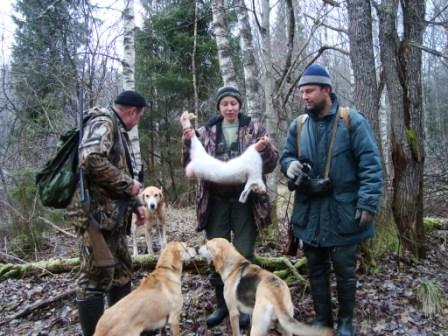 Три гончака в работе, почти стая