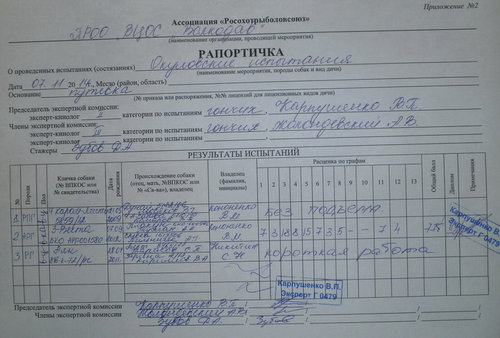 PB070330.JPG
