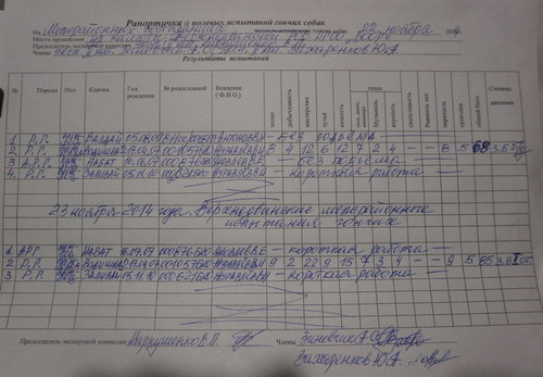 PB230074.JPG