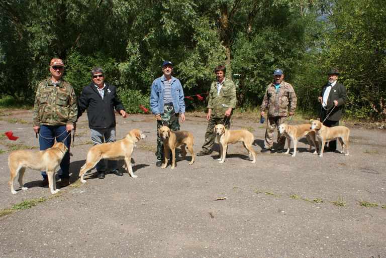 Выжловки ст.г.