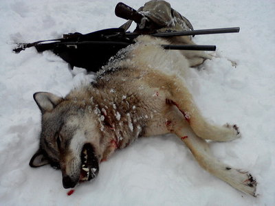 P22-02-12_14.28[1].jpg