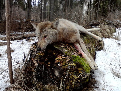 P17-04-12_15.11.jpg
